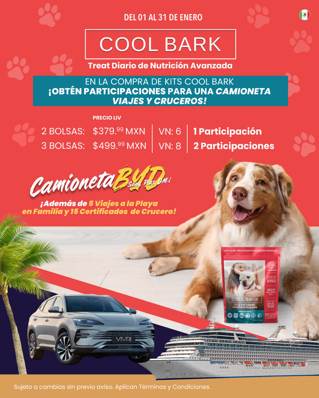 PARTICIPACIONES COMPRANDO COOL BARK