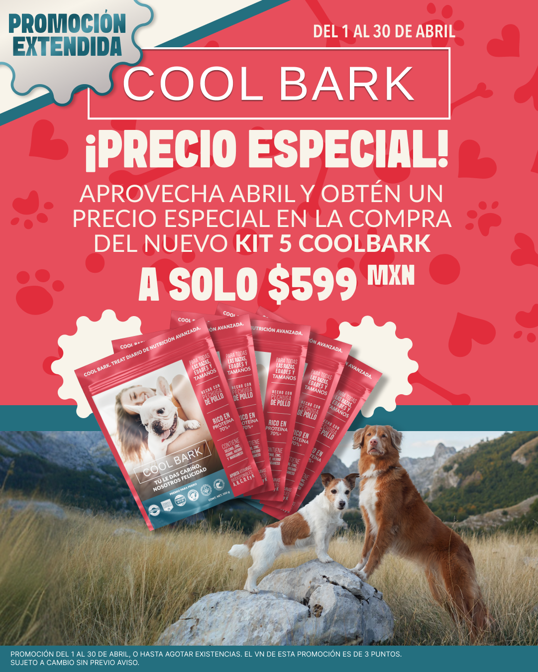COOLBARK PRECIO ESPECIAL